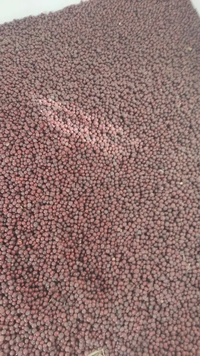 عناب درهم سیوجان|خوردنی و آشامیدنی|خوسف, |دیوار