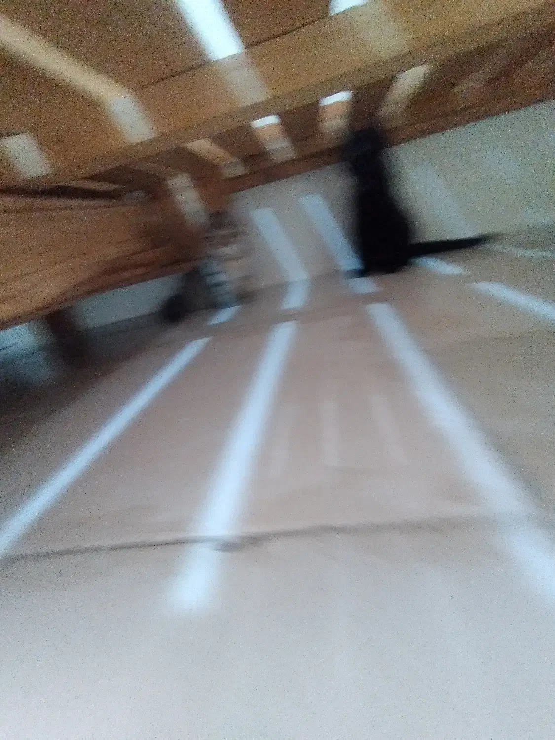 واگذاری بچه گربه|گربه|پرند, فاز ۵|دیوار