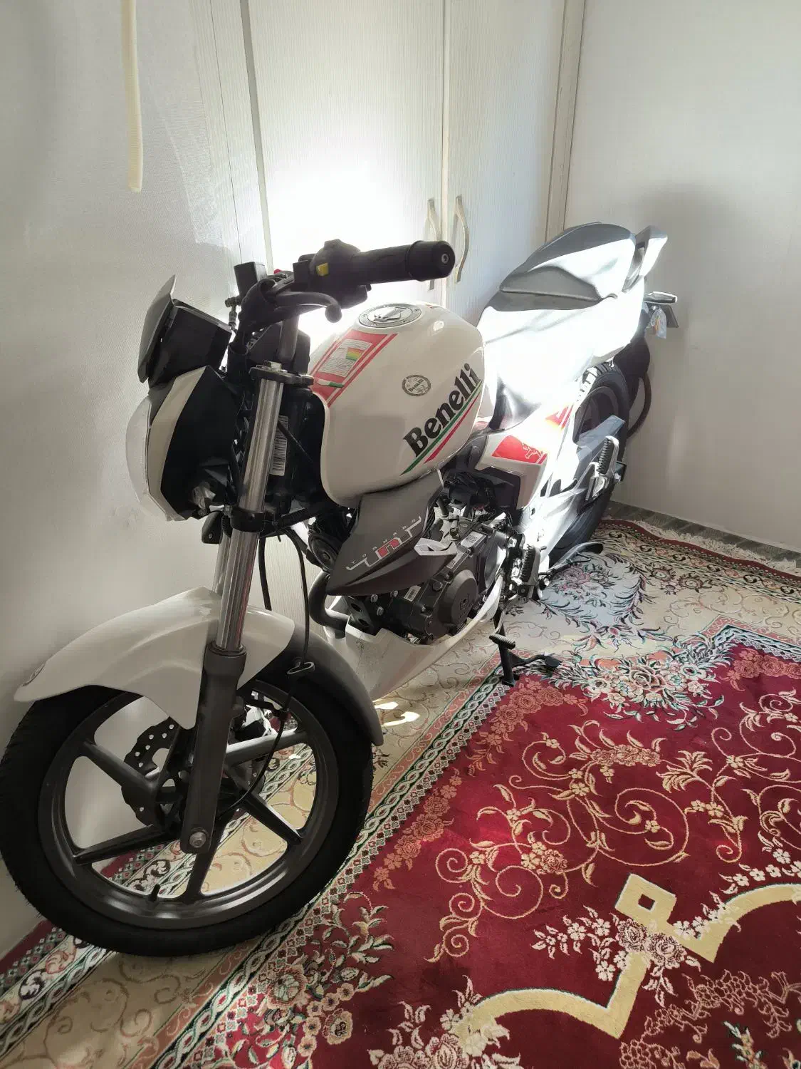 موتور بنلی ۱۵۰فیس قدیم صفر ۱۴۰۳|موتورسیکلت|اهواز, آریاشهر|دیوار