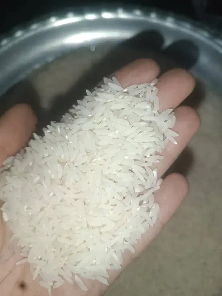 برنج درجه یک هاشمی الموت خوش قیمت خوش پخت خوش عطر|خوردنی و آشامیدنی|محمدیه-قزوین, |دیوار