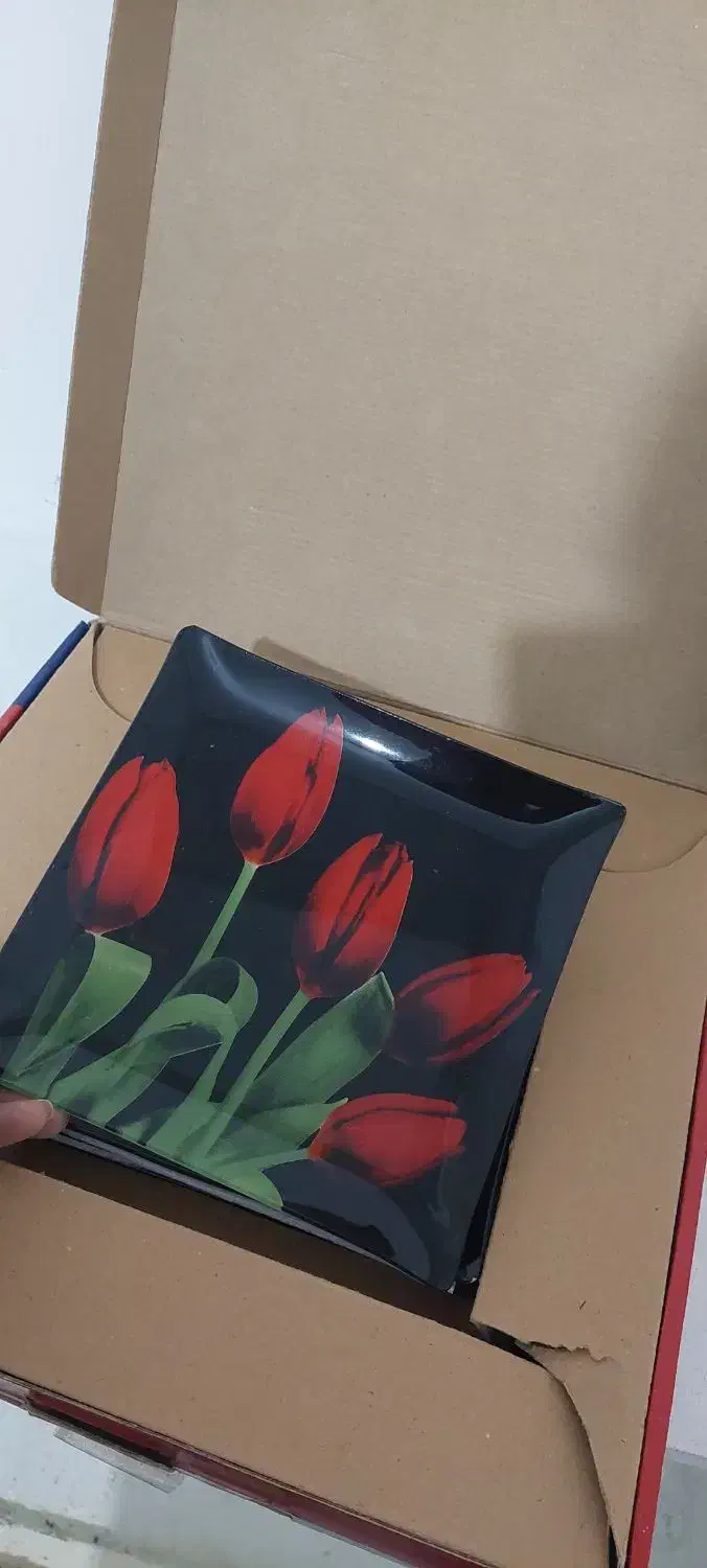 سینی میوه|ظروف سرو و پذیرایی|بندرعباس, |دیوار