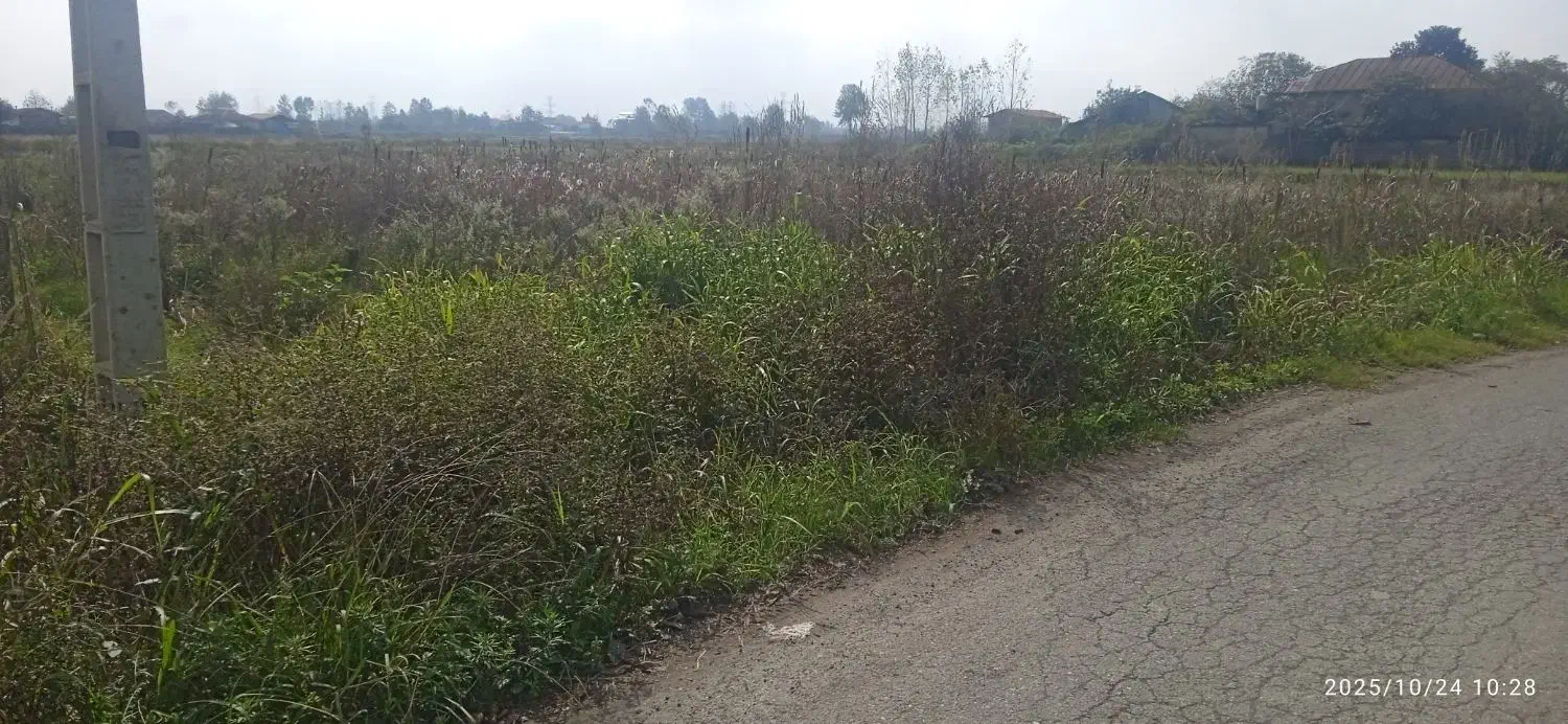 مزرعه‌کشاورزی400متر|فروش دفتر صنعتی، کشاورزی، تجاری|رودسر, |دیوار