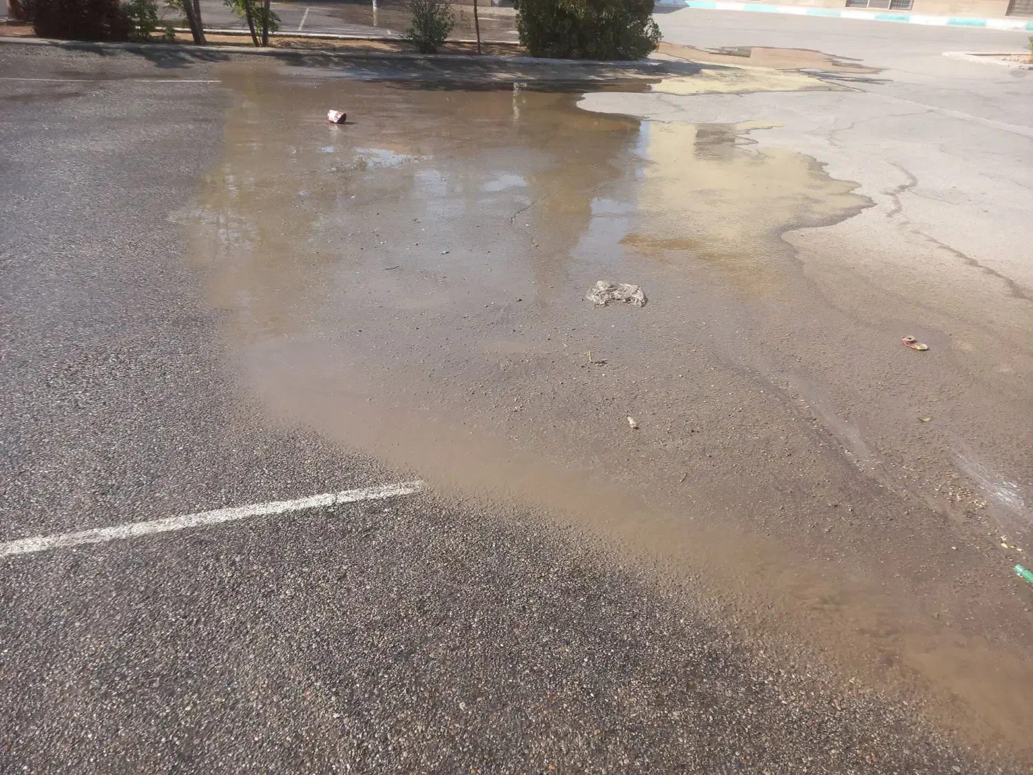 کارواش سیار یزد واش|خدمات نظافت|یزد, |دیوار