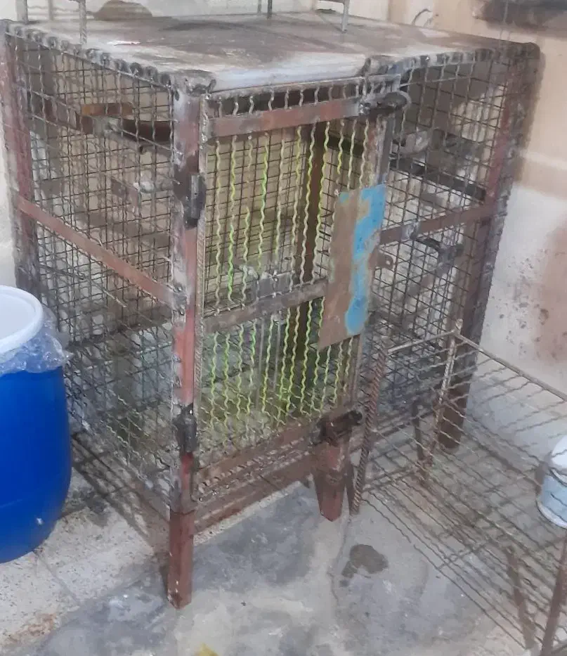 قفس اهنی|لوازم جانبی حیوانات|اهواز, منبع اب|دیوار