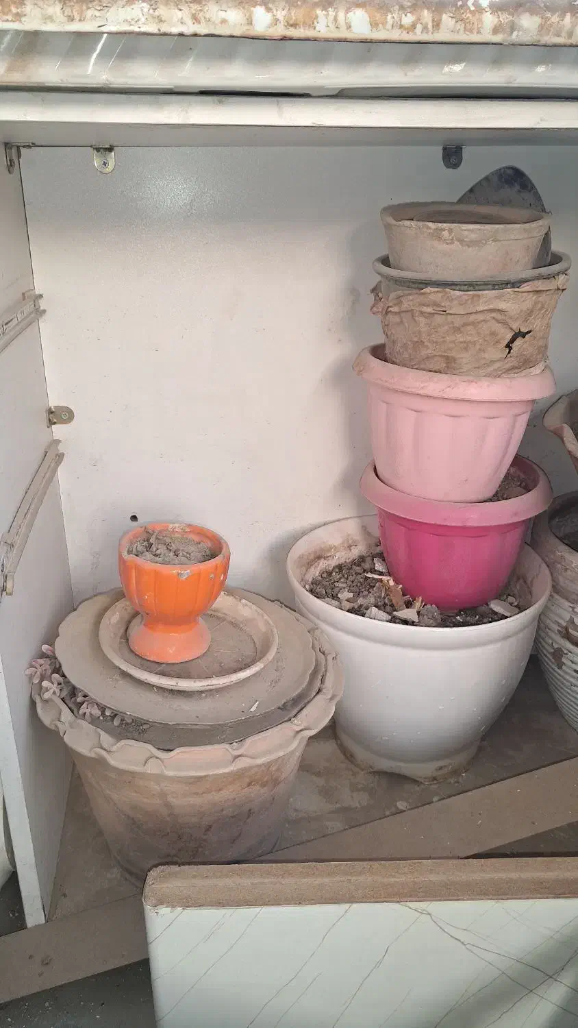 تعدادی گلدان|گل و گیاه طبیعی|تهران, شهرک آسمان|دیوار