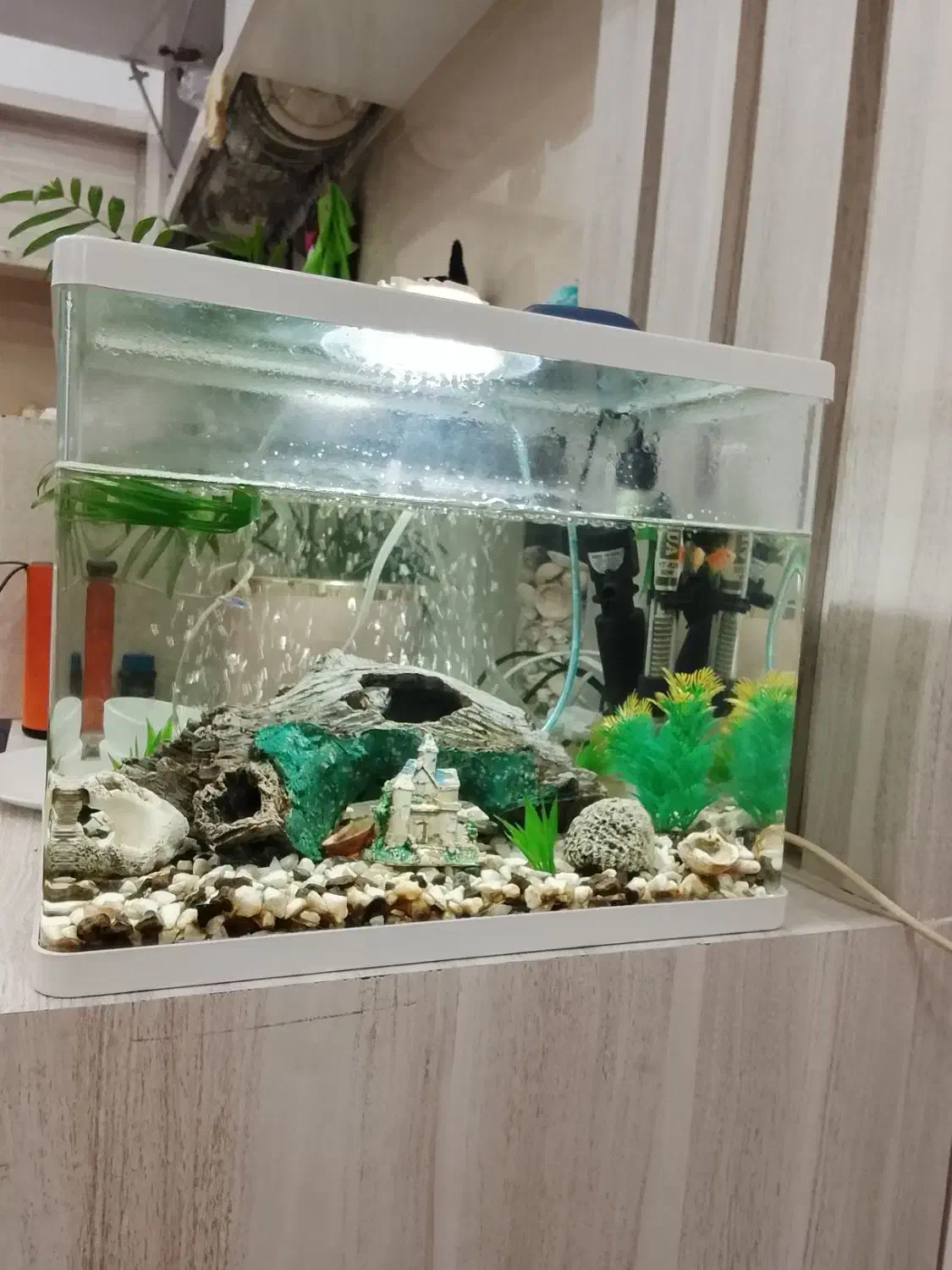 اکواریوم با لوازم|ماهی|ایلام, |دیوار