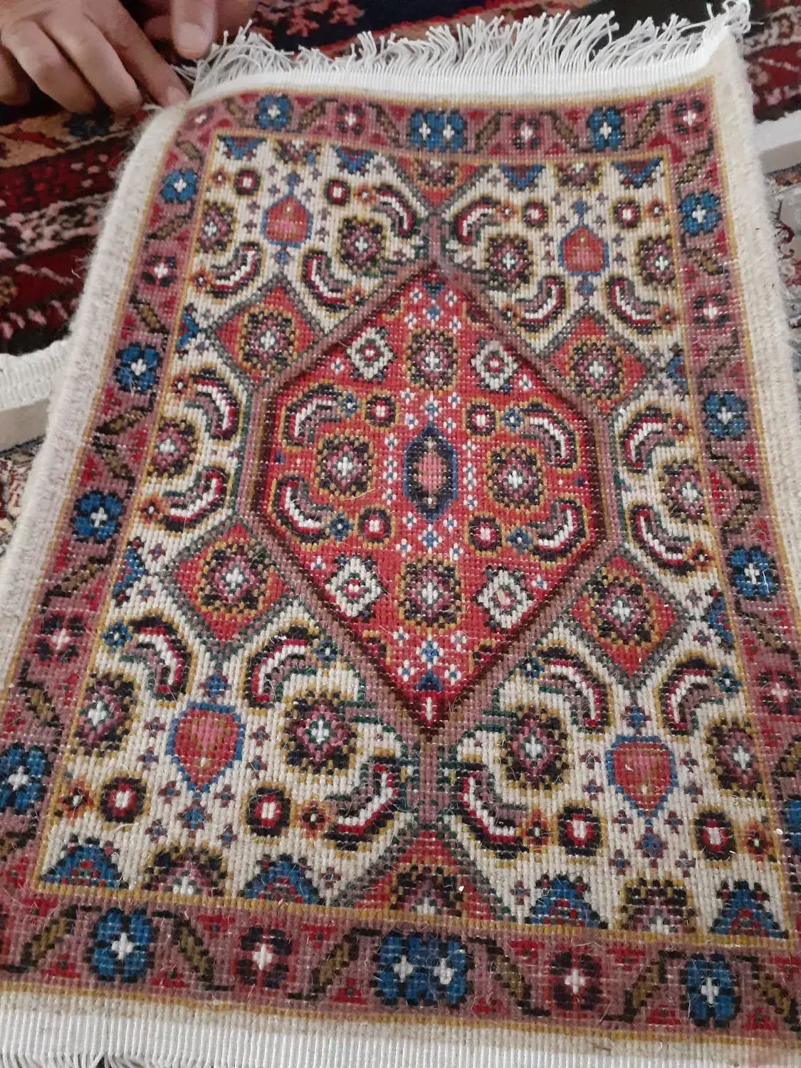 یک عدد فرش دست بافت نو|فرش|اردبیل, |دیوار