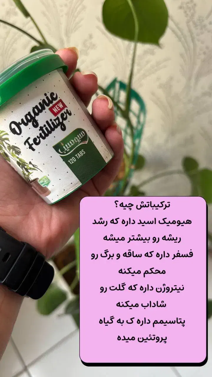 قرص کود ارگانیک|گل و گیاه طبیعی|هشتگرد, هشتگرد قدیم|دیوار