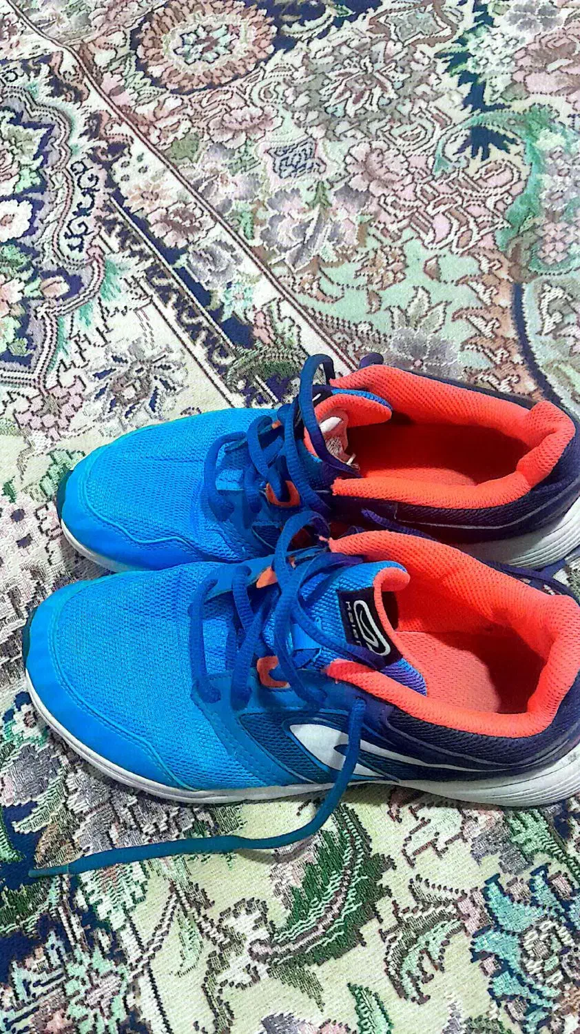 کتونی|کیف، کفش، کمربند|نیشابور, خیام|دیوار