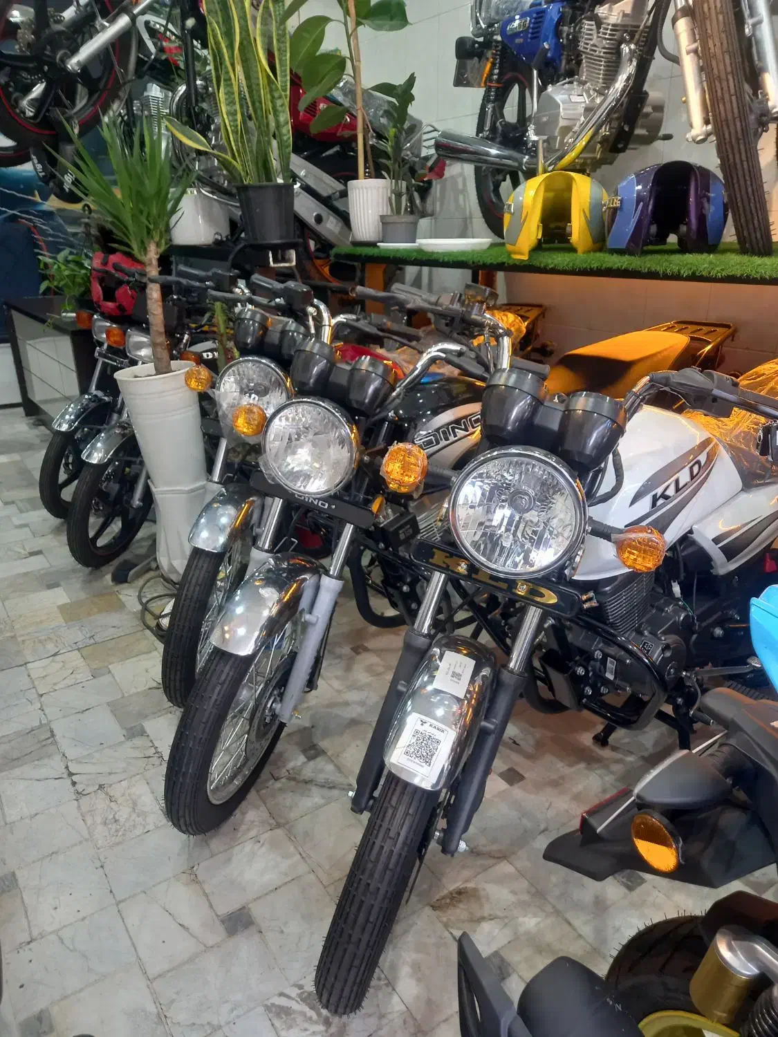 موتور سیکلت اسکوتر قسطی|موتورسیکلت|قم, شاه ابراهیم|دیوار