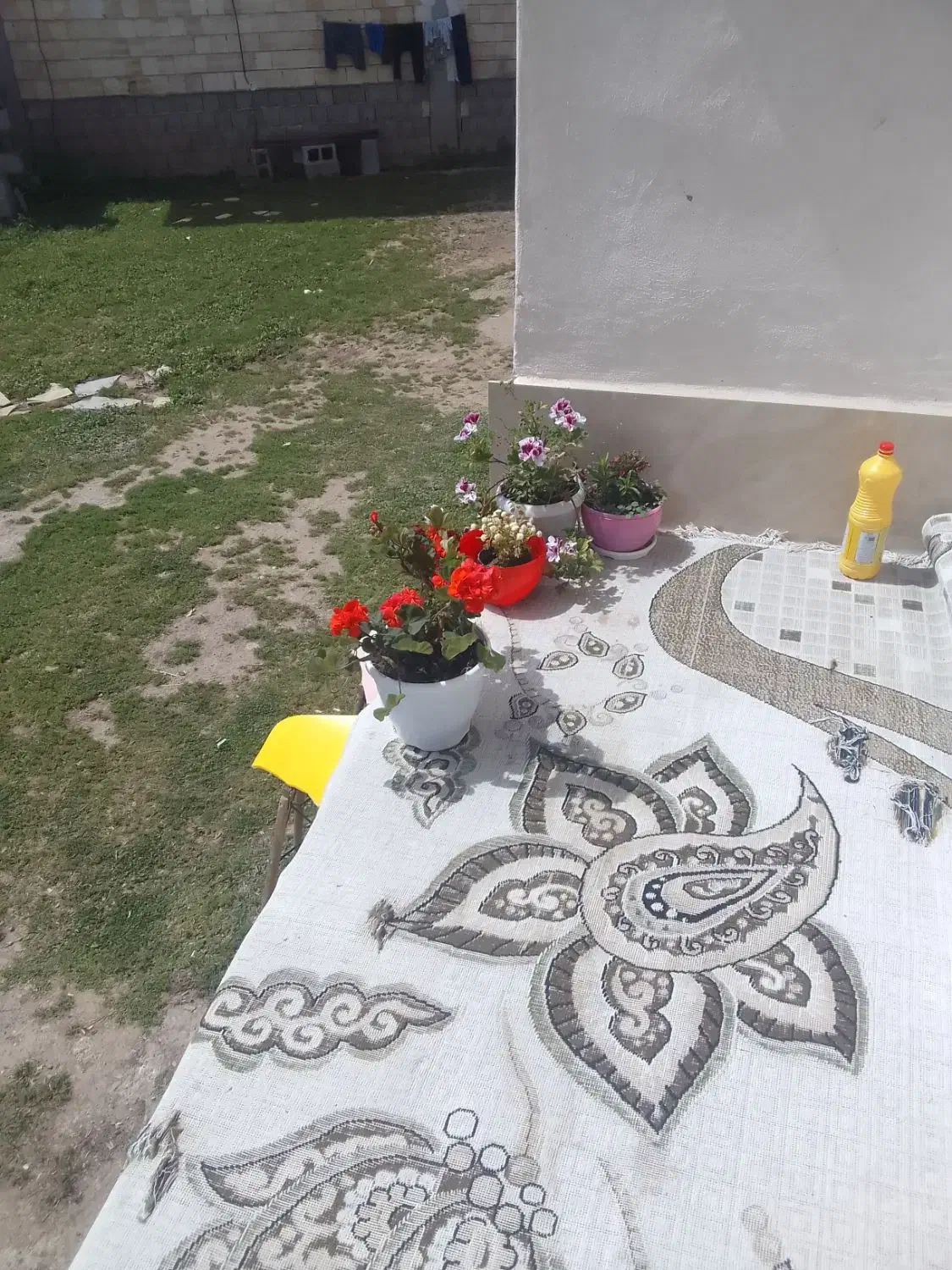 اجاره  روزانه و ماهانه سویت 55متری|اجارهٔ کوتاه‌مدت آپارتمان و سوئیت|ماسال, |دیوار