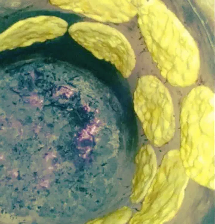 تنورگلی سفالی|اجاق گاز و لوازم برقی پخت‌وپز|زنجان, |دیوار