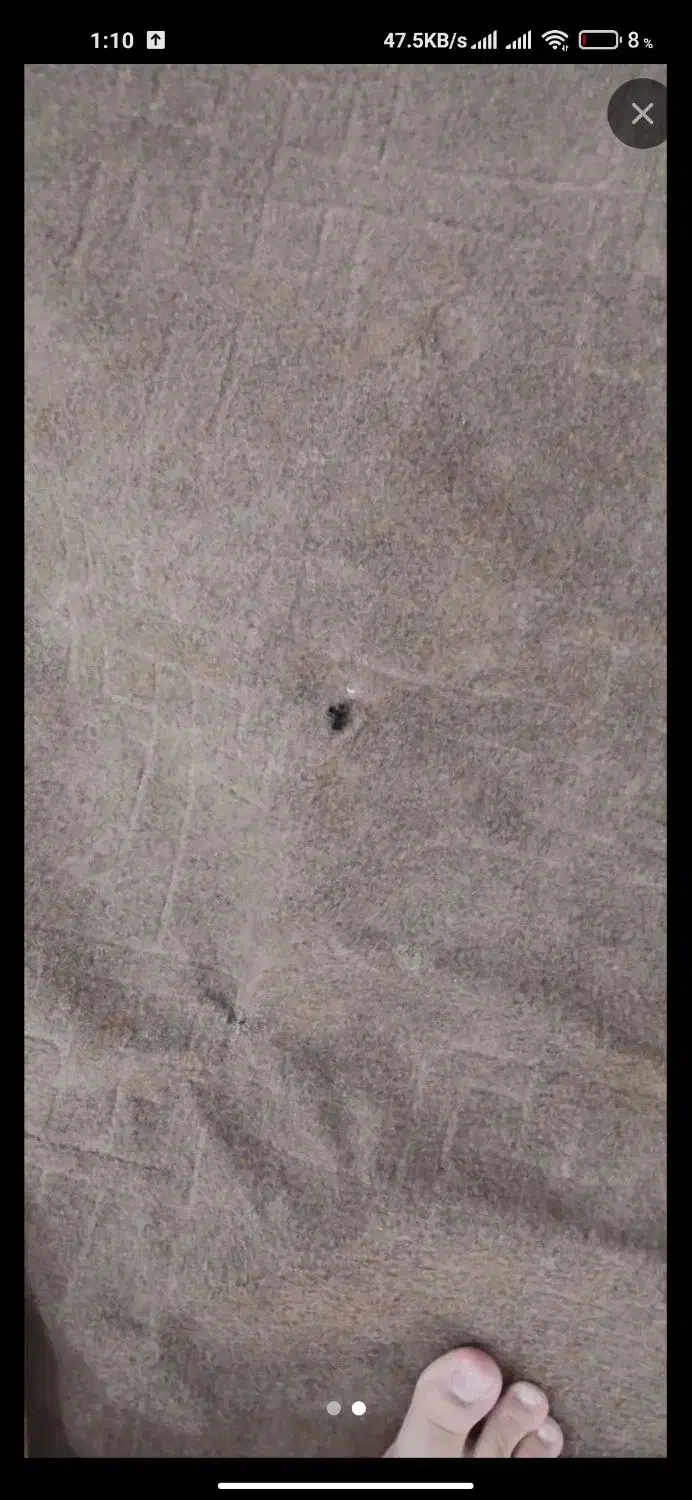 موکت|موکت|کرمانشاه, |دیوار