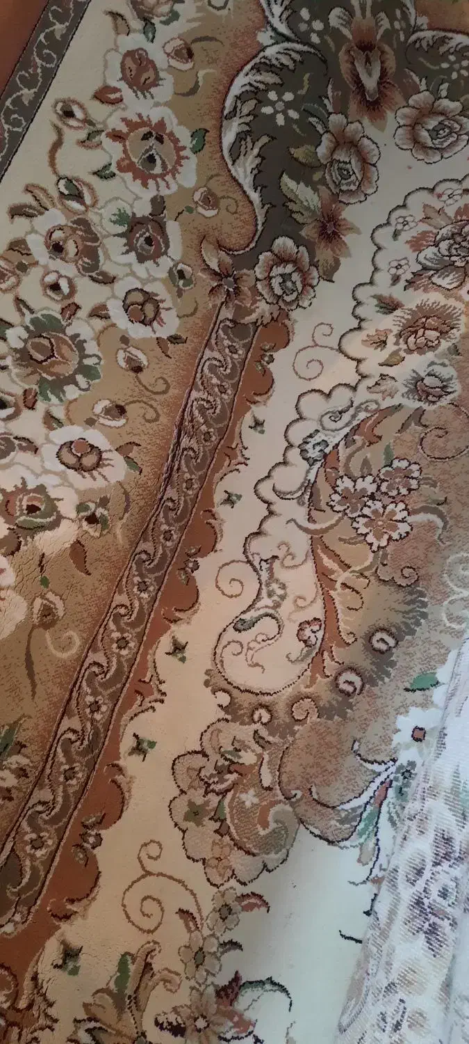 فرش ۱۲ متری پر تراکم|فرش|سرعین, |دیوار