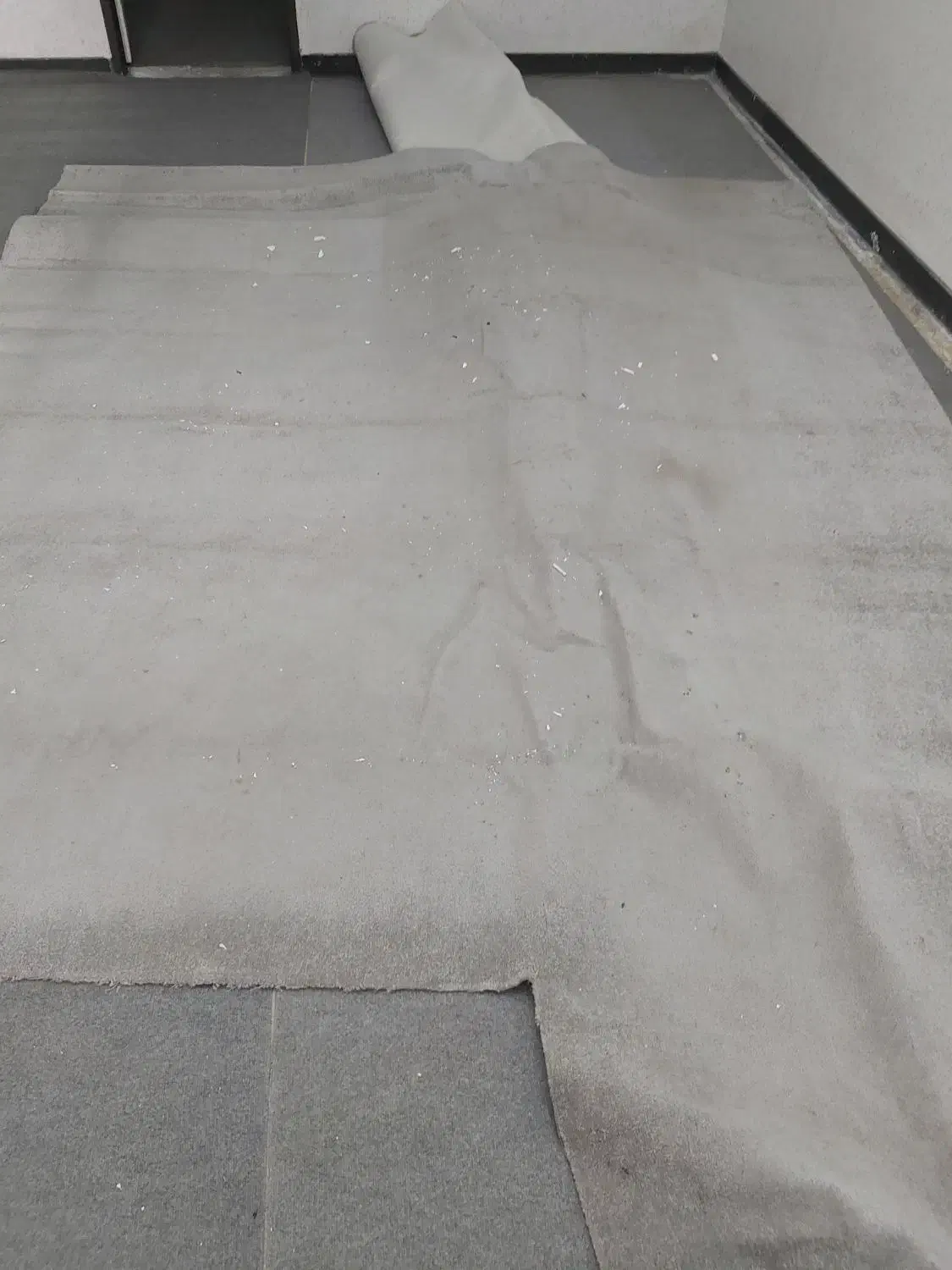 دو عدد موکت ۱۲ متری|موکت|بندر ماهشهر, |دیوار