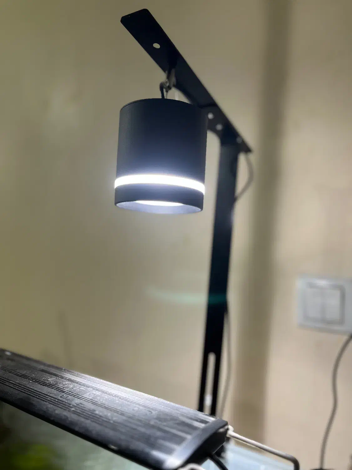 نور رشد گیاه|لامپ و چراغ|اهواز, ۲۵۴دستگاه|دیوار