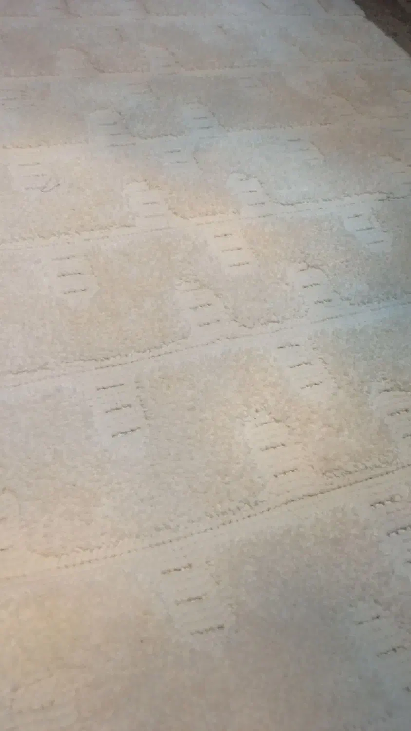 فرش یک در یک و نیم صفر می‌باشد|فرش|رشت, رشتیان|دیوار