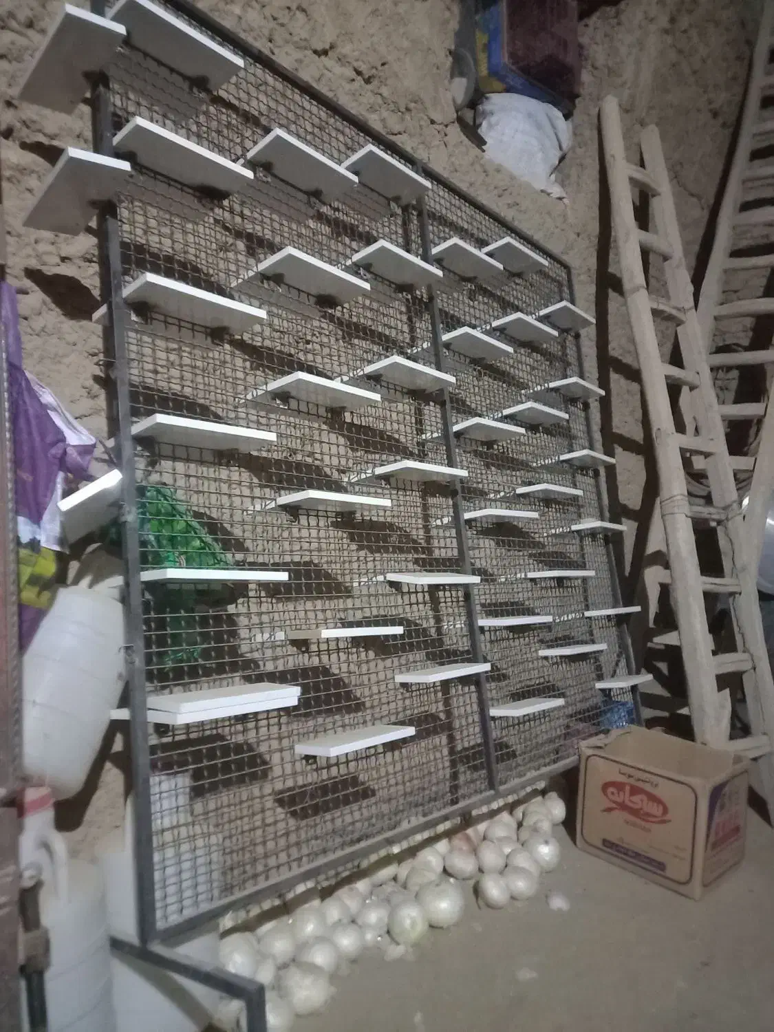 رگال کتونی|فروشگاه و مغازه|میلاجرد, |دیوار