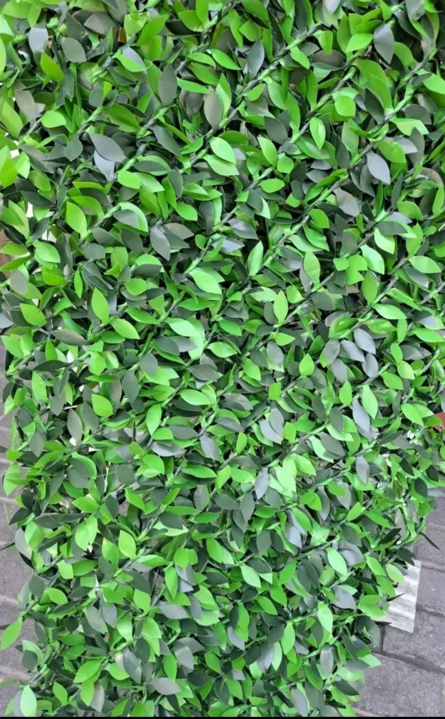 فنس چمنی|خدمات باغبانی و درختکاری|کامیاران, |دیوار