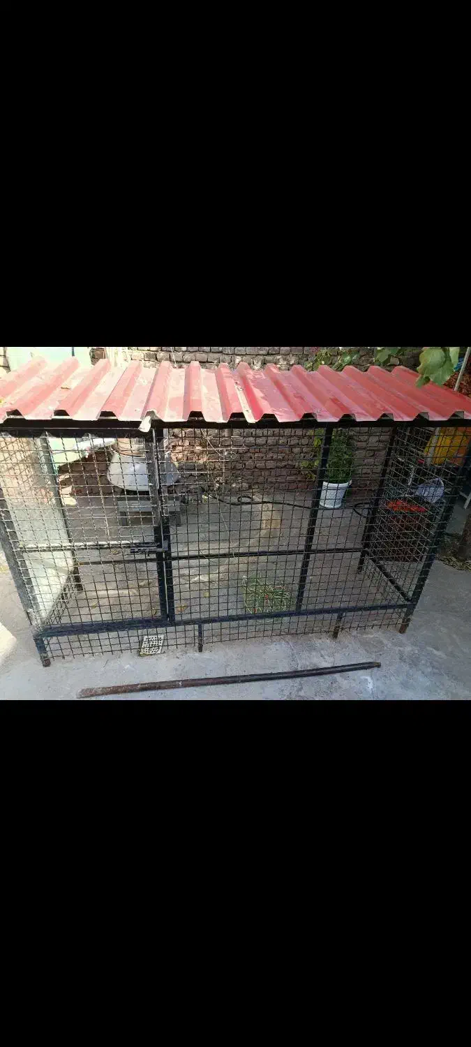 قفس ویلایی|لوازم جانبی حیوانات|نقده, |دیوار