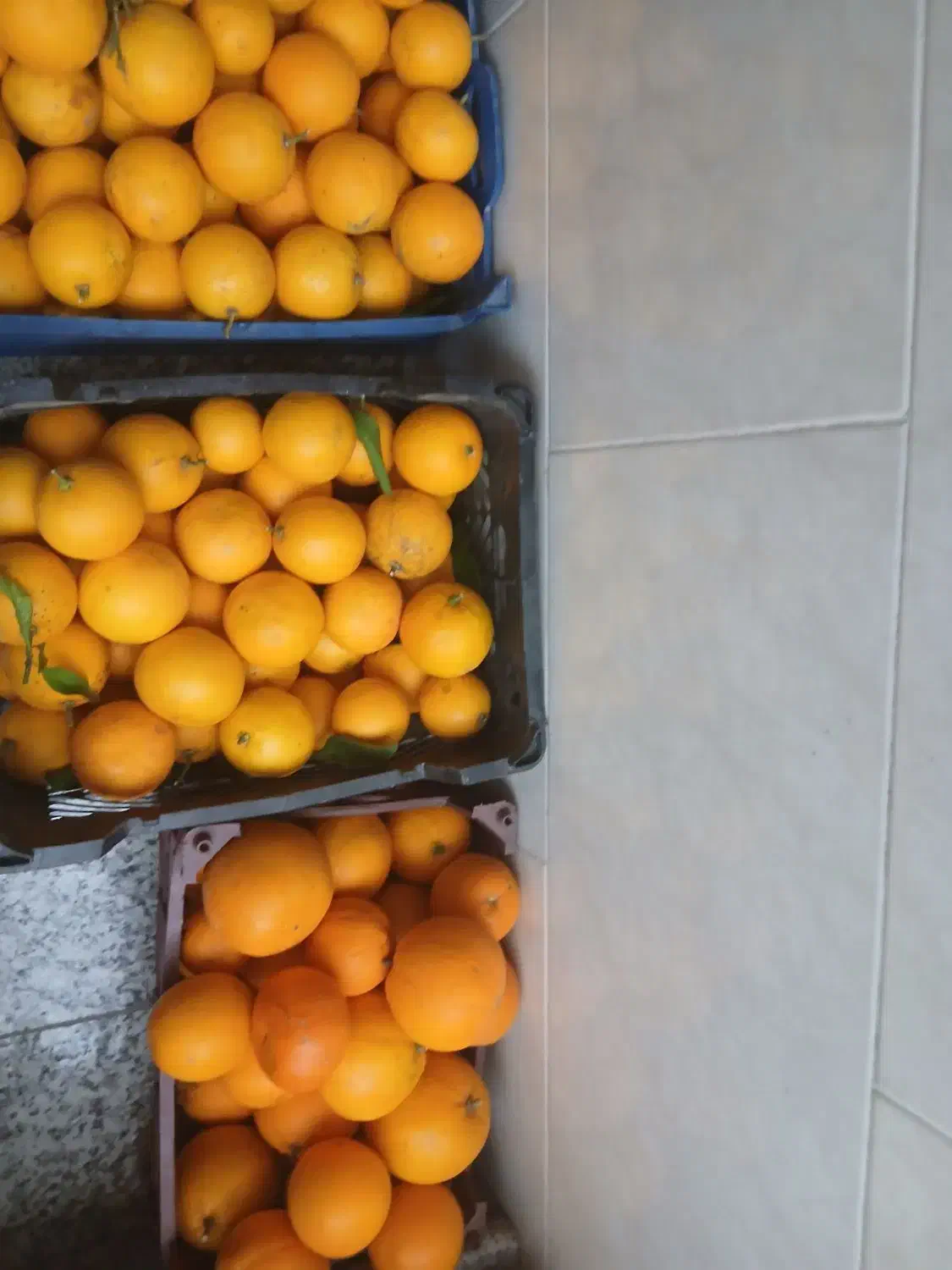 پرتقال و برنج شمال|خوردنی و آشامیدنی|شاهین‌شهر, شهرک مطهری|دیوار