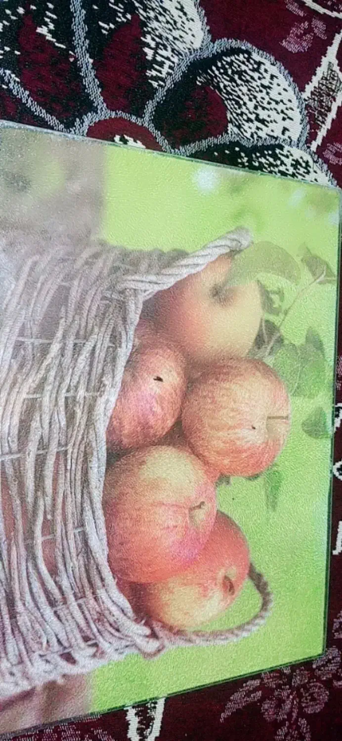 تخته|حراج|نیشابور, مازول|دیوار