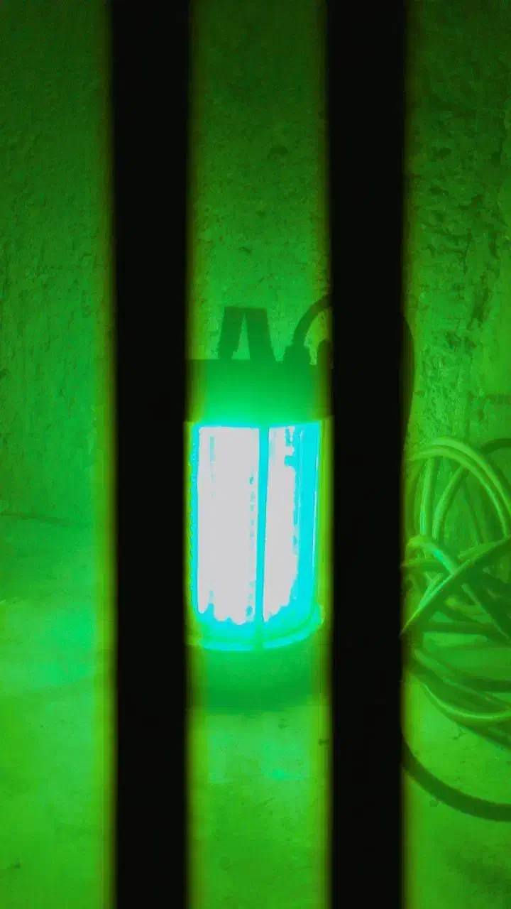 لامپ زیر آبی|لامپ و چراغ|میناب, |دیوار