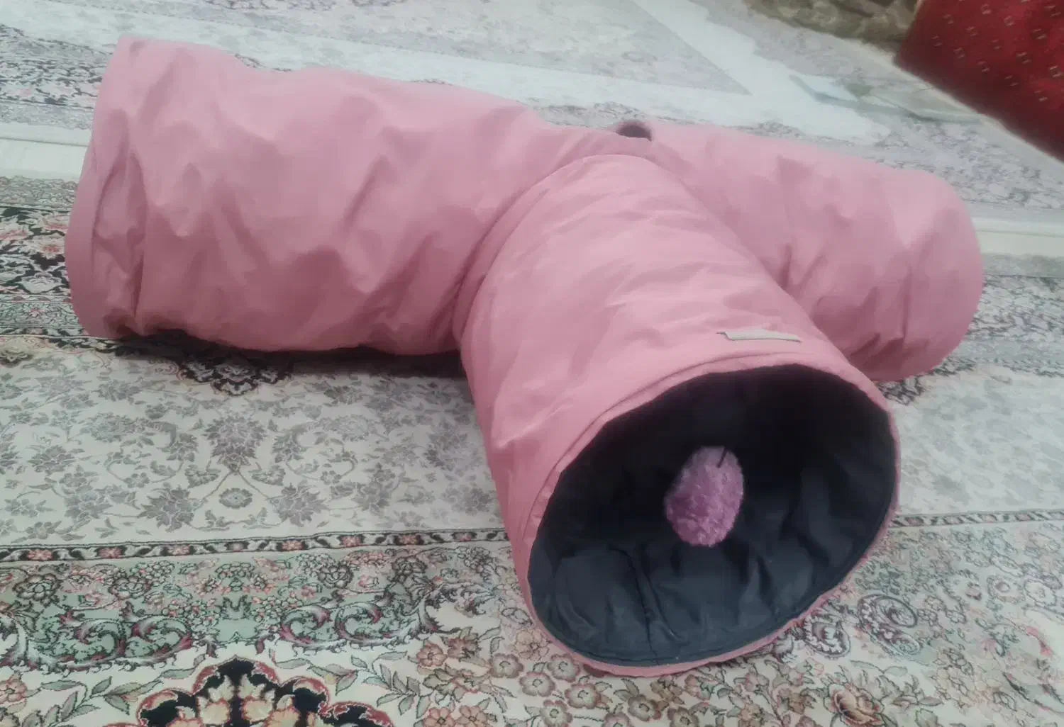 تونل گربه|گربه|مشهد, گلبرگ|دیوار