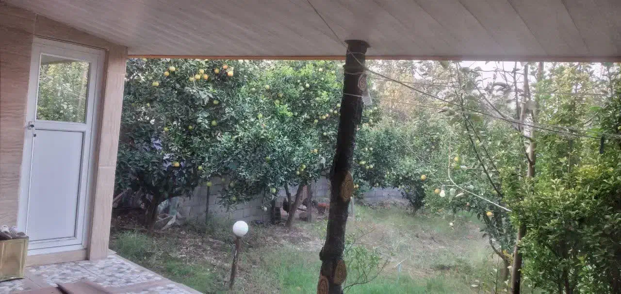 ویلا باغ اجاره ای ۳۰۰ متری|اجارهٔ خانه و ویلا|دابودشت, |دیوار