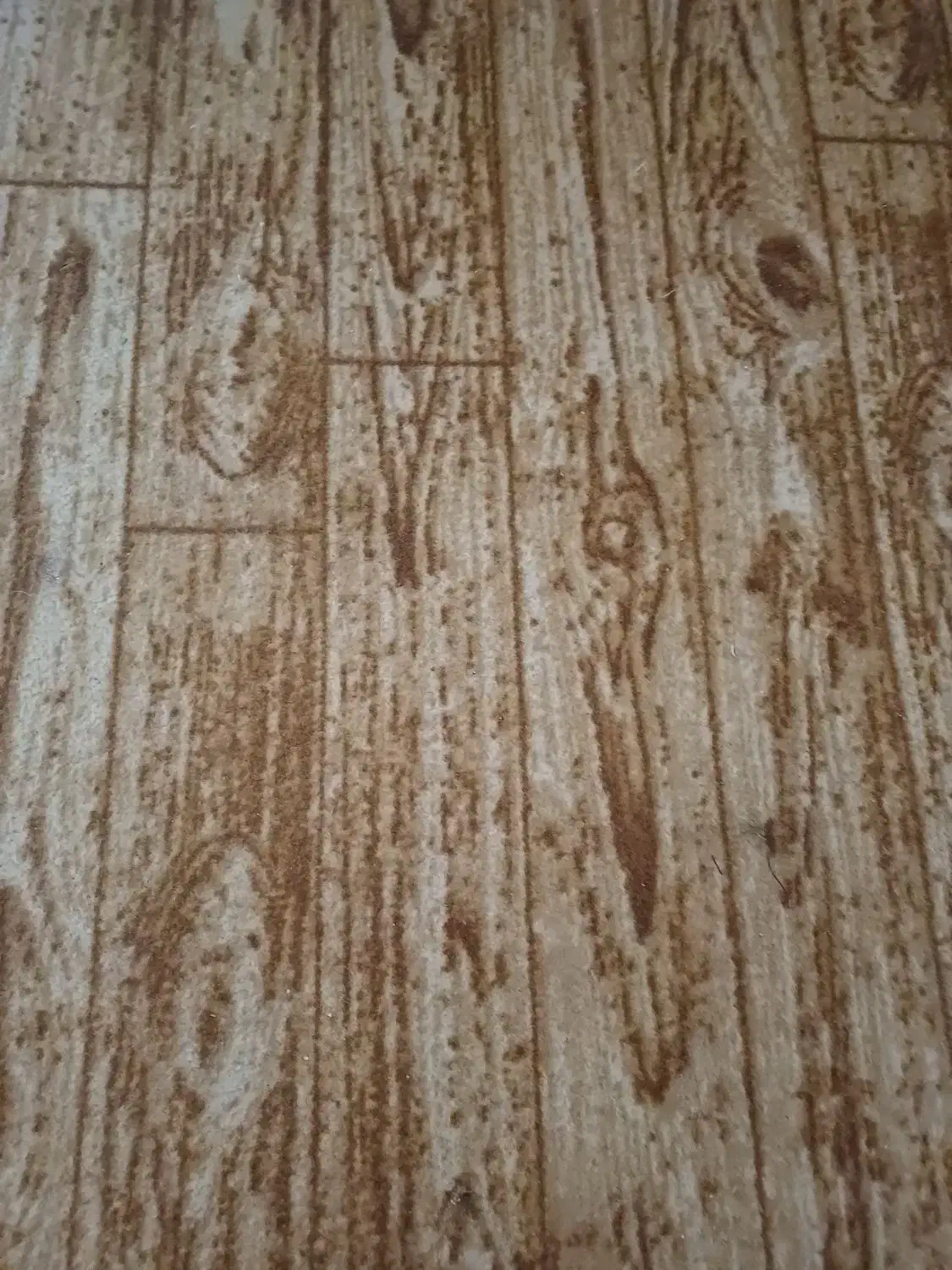 موکت|موکت|اهواز, شهرک الهیه|دیوار