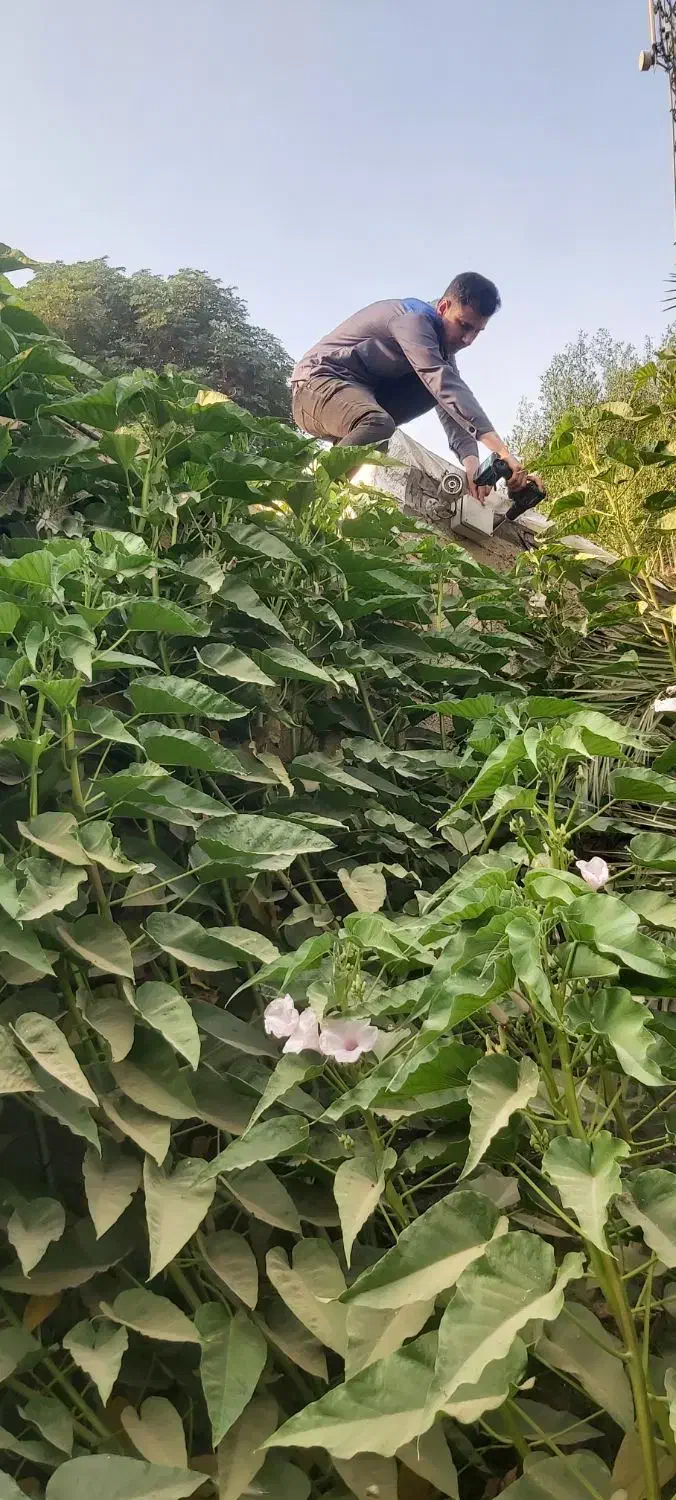 نصب دوربین مداربسته|دوربین مداربسته|باوی, |دیوار