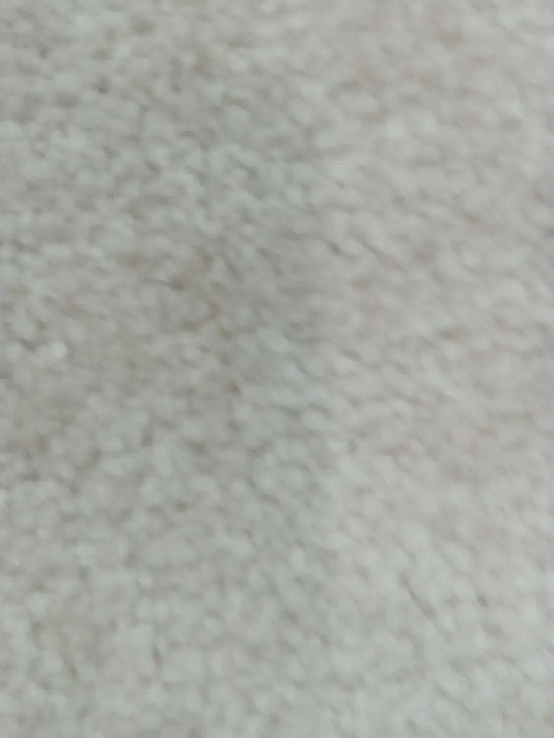 پالاز موکت ۱۲ متری|موکت|دزفول, |دیوار