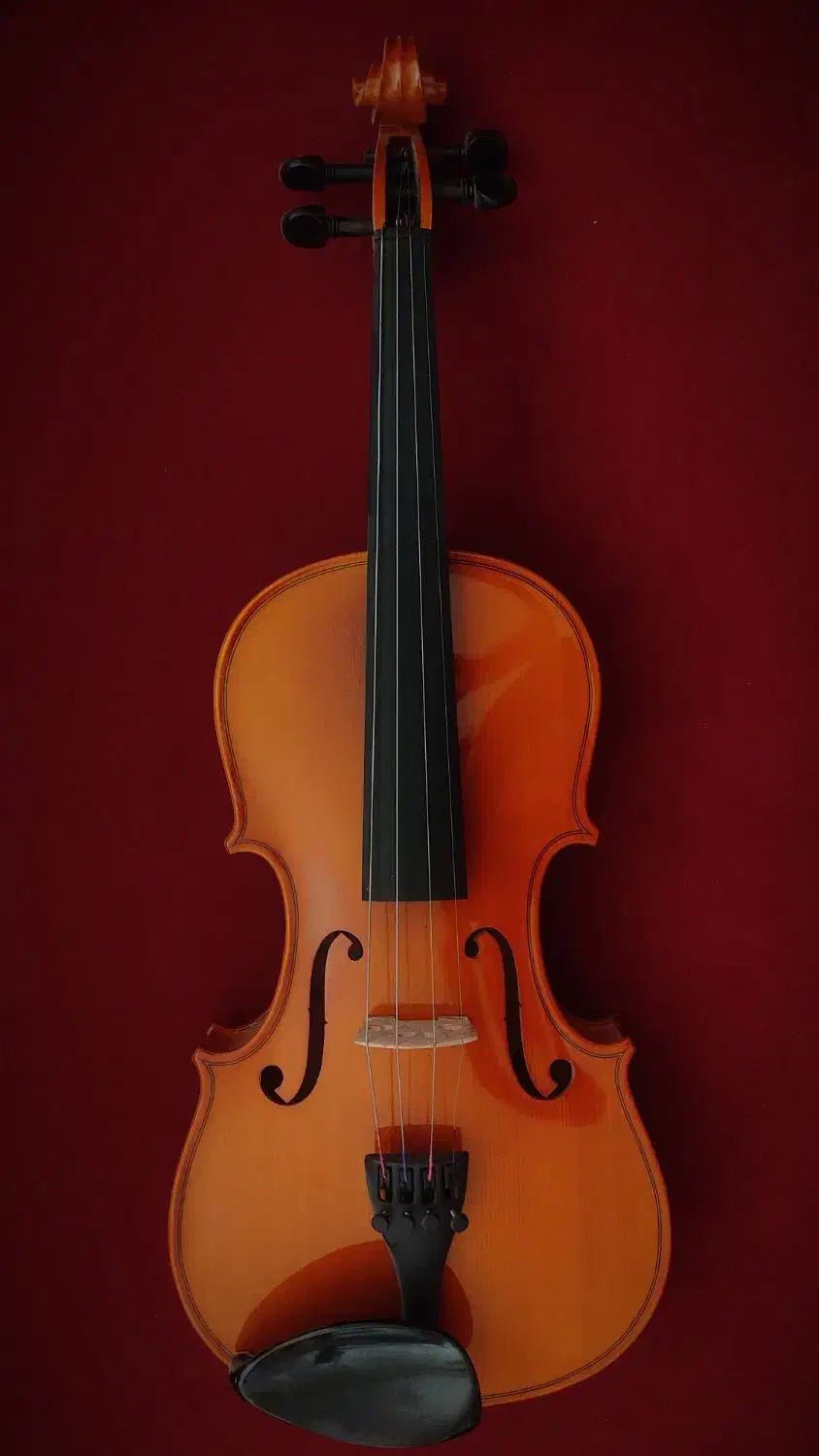 ویولن خوش رنگ TF student mode 4/4|ویولن|اصفهان, تخت فولاد|دیوار