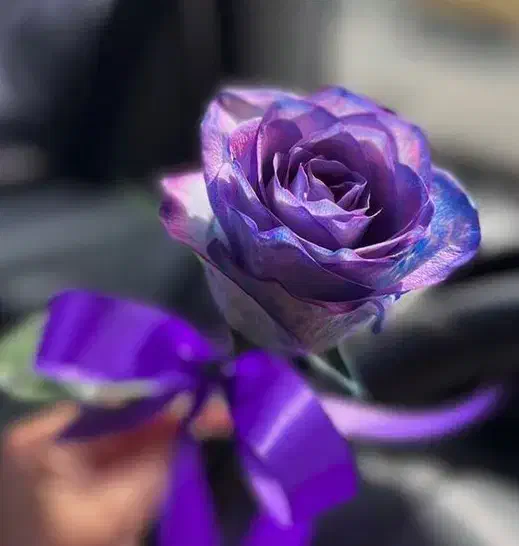 راهنمایی کنید|فعالیت داوطلبانه|ساوه, |دیوار