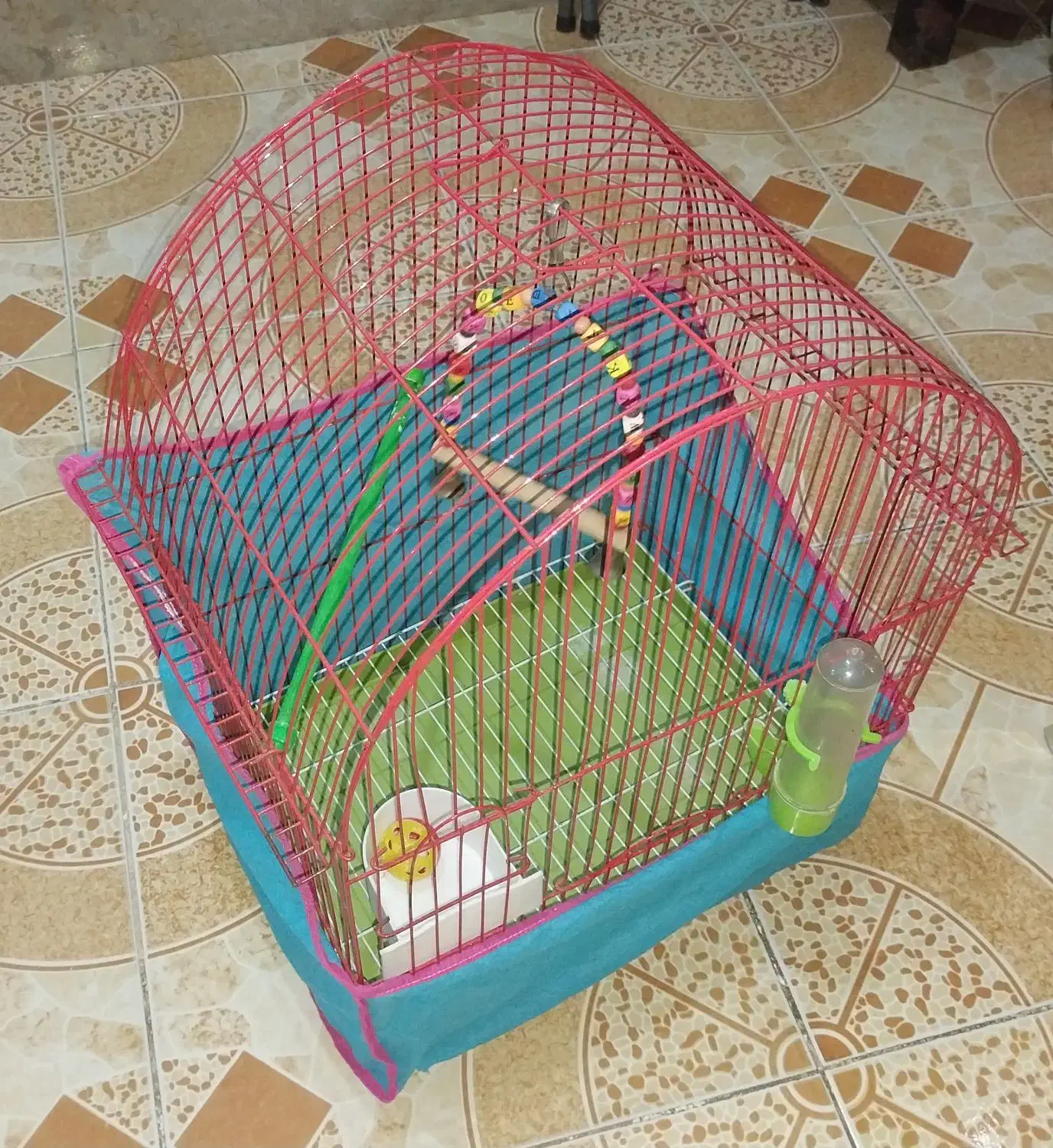 قفس طوطی|لوازم جانبی حیوانات|رشت, گلزاران|دیوار