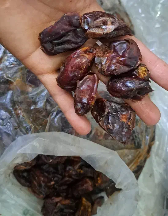 خرما|حراج|یزد, |دیوار