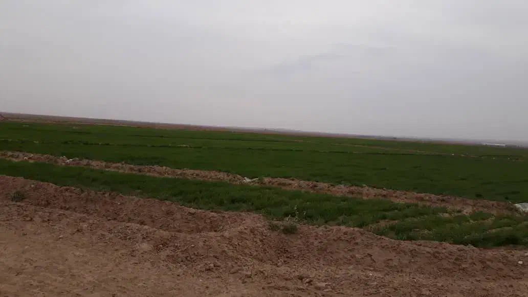 کشاورزی|فروش دفتر صنعتی، کشاورزی، تجاری|بوکان, |دیوار