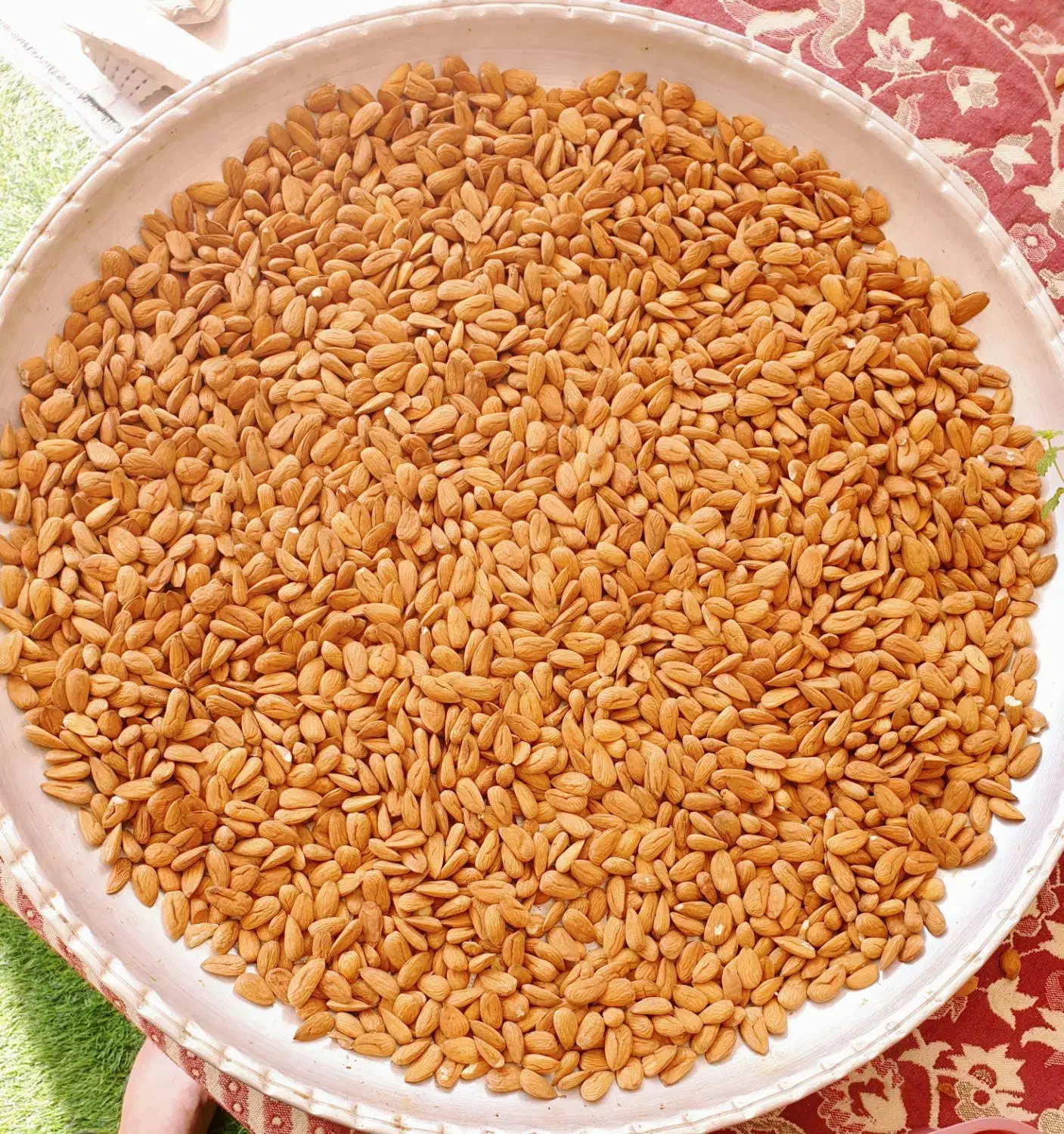 بادام شاهرودی|خوردنی و آشامیدنی|کیار, |دیوار