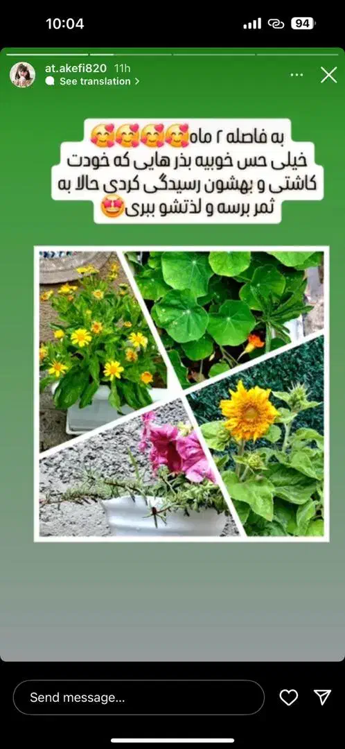 همکاری در گلخانه|خدمات باغبانی و درختکاری|بجنورد, |دیوار