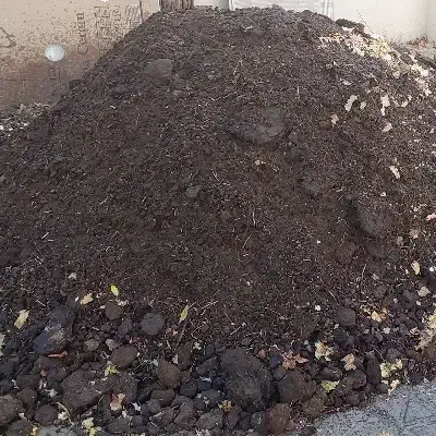 کود دامی|خدمات باغبانی و درختکاری|مبارکه, |دیوار