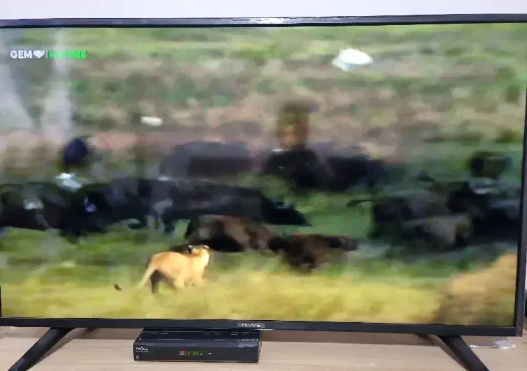 تلویزیون ال ای دی ۵۰|تلویزیون و پروژکتور|هشتگرد, فاز ۳ مهستان|دیوار