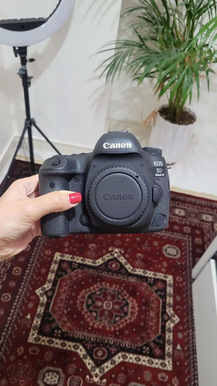 بدنه دوربین canon 5D Mark 4|دوربین عکاسی و فیلمبرداری|تهران, والفجر (افسریه)|دیوار