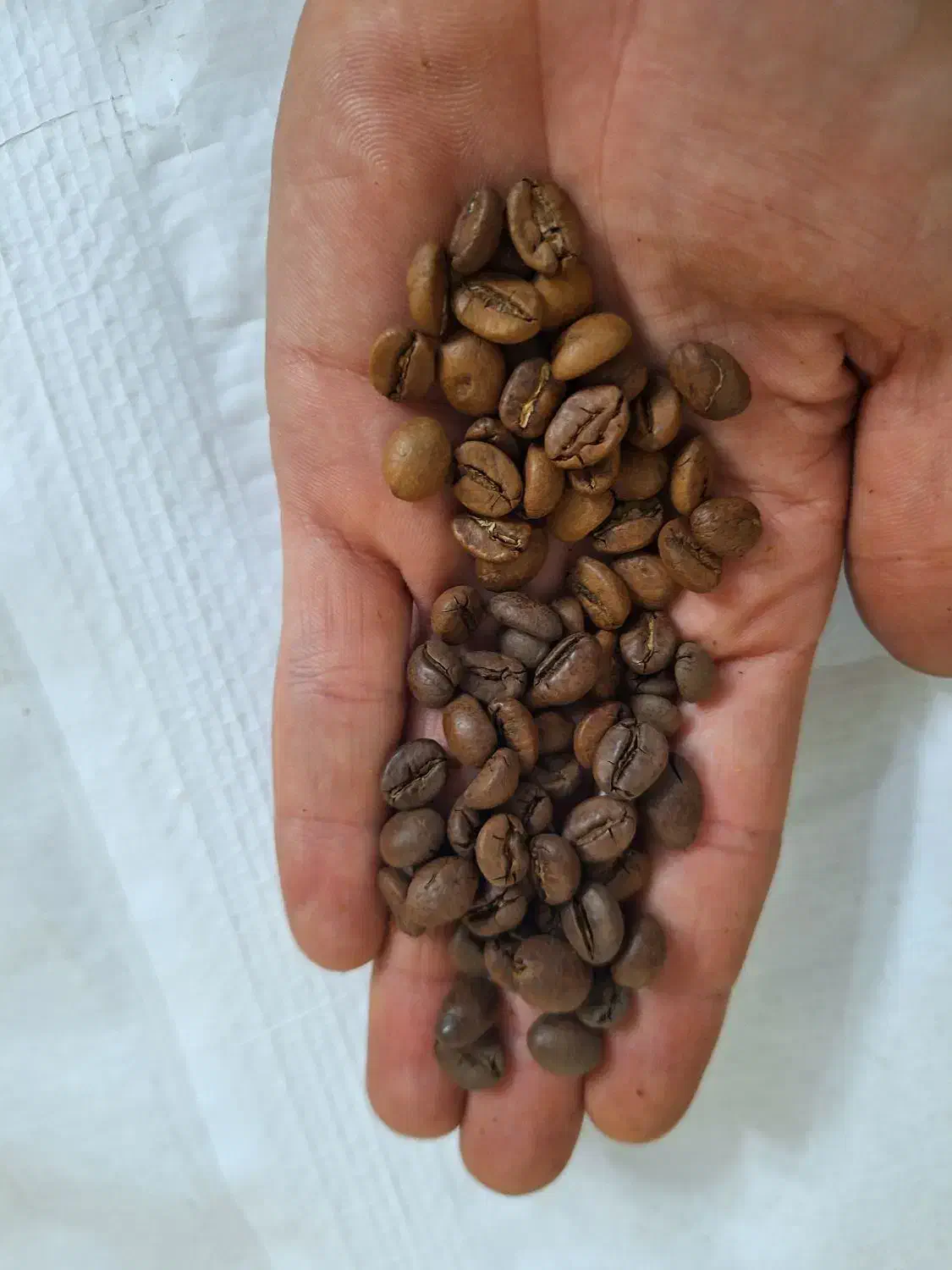 دان قهوه درجه یک|خوردنی و آشامیدنی|تهران, عباسی|دیوار