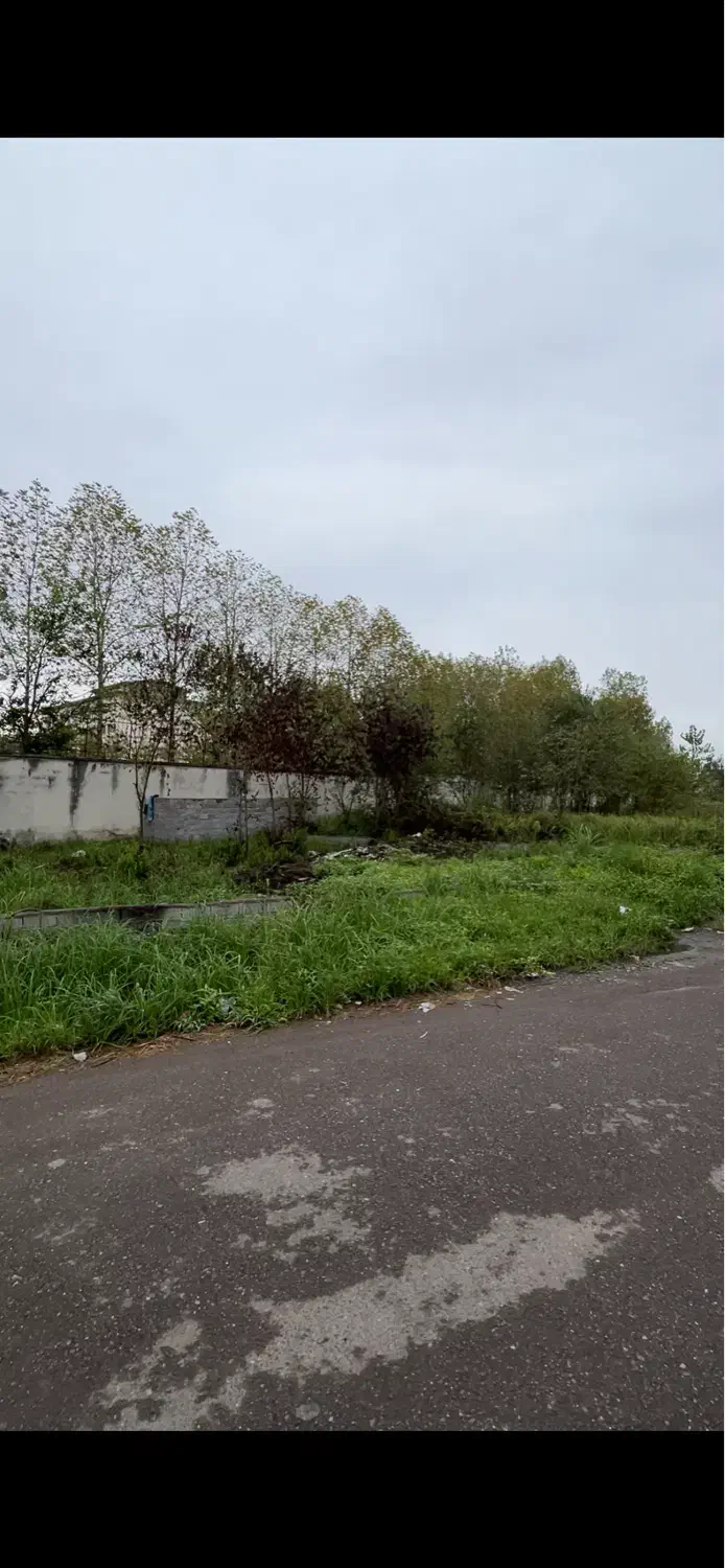 زمین شهری تمام مسکونی بلوار دانشجو|فروش زمین و ملک کلنگی|لاهیجان, کوی استادان|دیوار