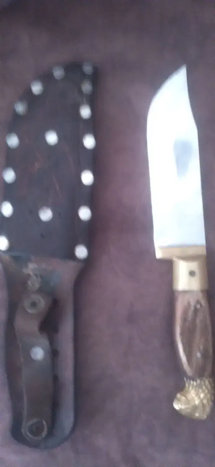چاقوی دسته شاخ شیر|کلکسیون اشیاء عتیقه|قرچک, داوود آباد|دیوار