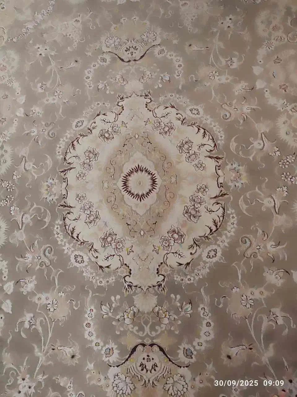 فرش ۷۰۰ شانه|فرش|قوچان, |دیوار