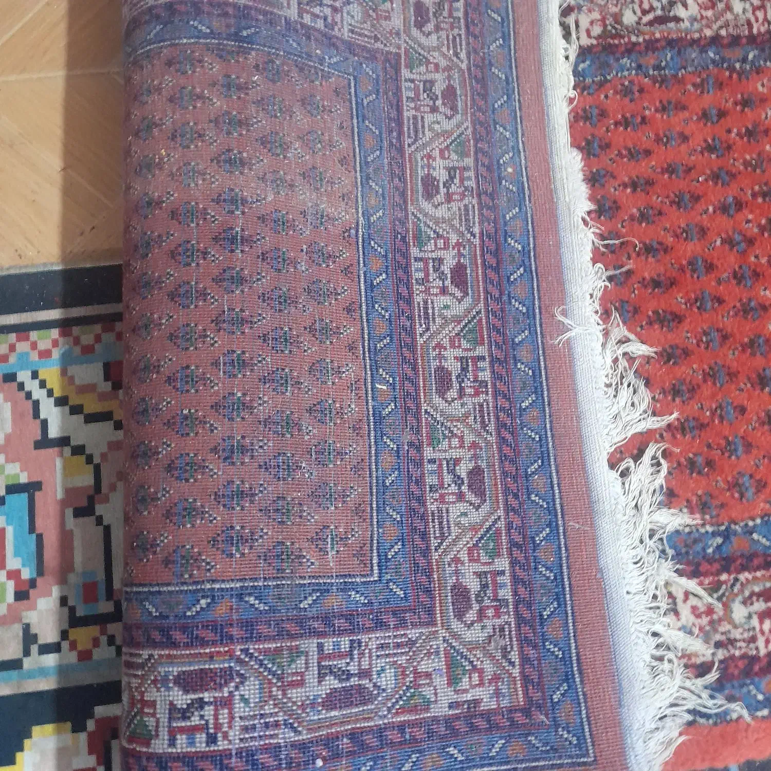 قالی دست بافت|فرش|اراک, |دیوار