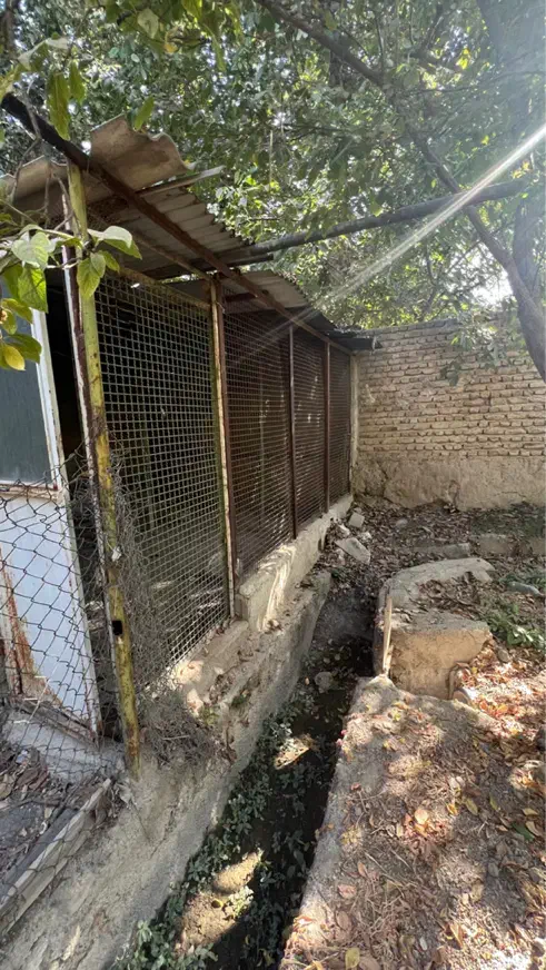 باغچه ۱۰۱۳واقع در زیبادشت|فروش خانه و ویلا|محمدشهر, زیبادشت|دیوار