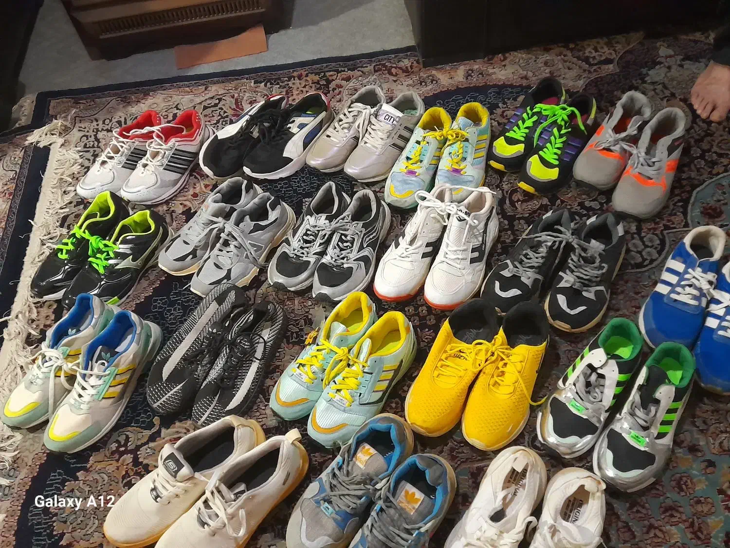 کتونی|کیف، کفش، کمربند|ملارد, |دیوار