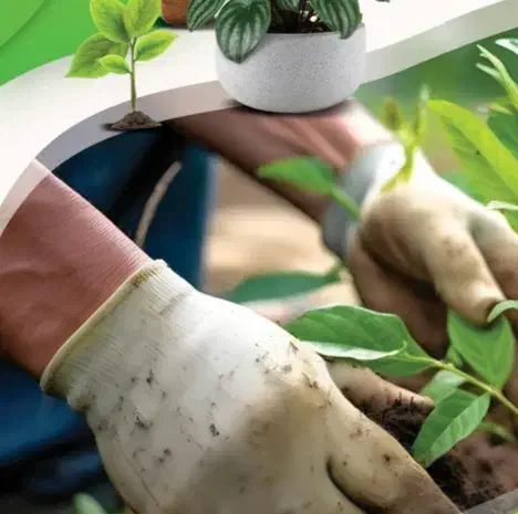 تعویض خاک گلدان ،فروش خاک برگ ،ورمی کمپوست|خدمات باغبانی و درختکاری|یاسوج, |دیوار